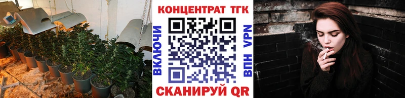 ТГК гашишное масло  Стародуб 
