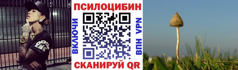 Галлюциногенные грибы Psilocybe  Стародуб 