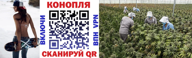 Канабис VHQ  нарко площадка какой сайт  Стародуб 